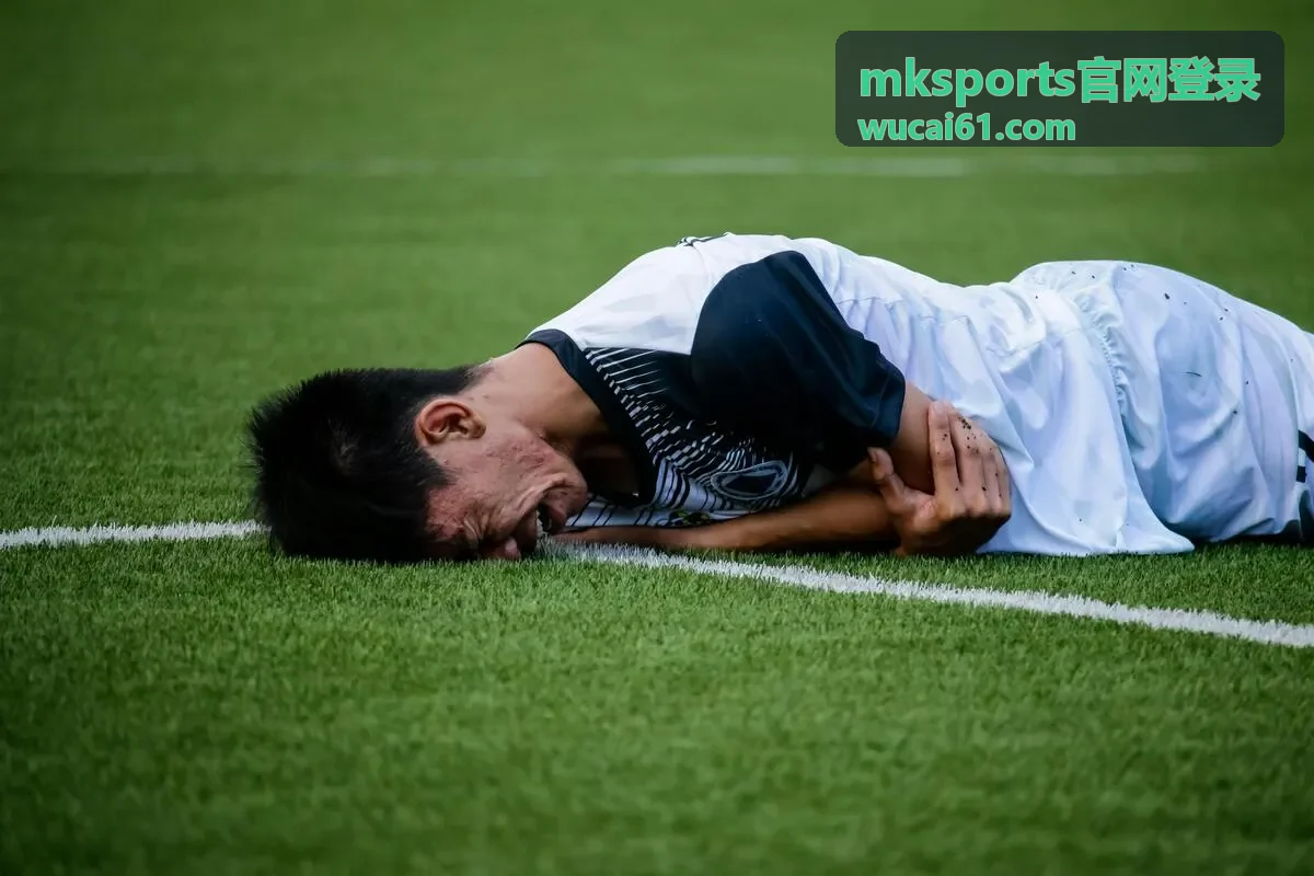 mksports官网登录 身份验证与账号找回示意