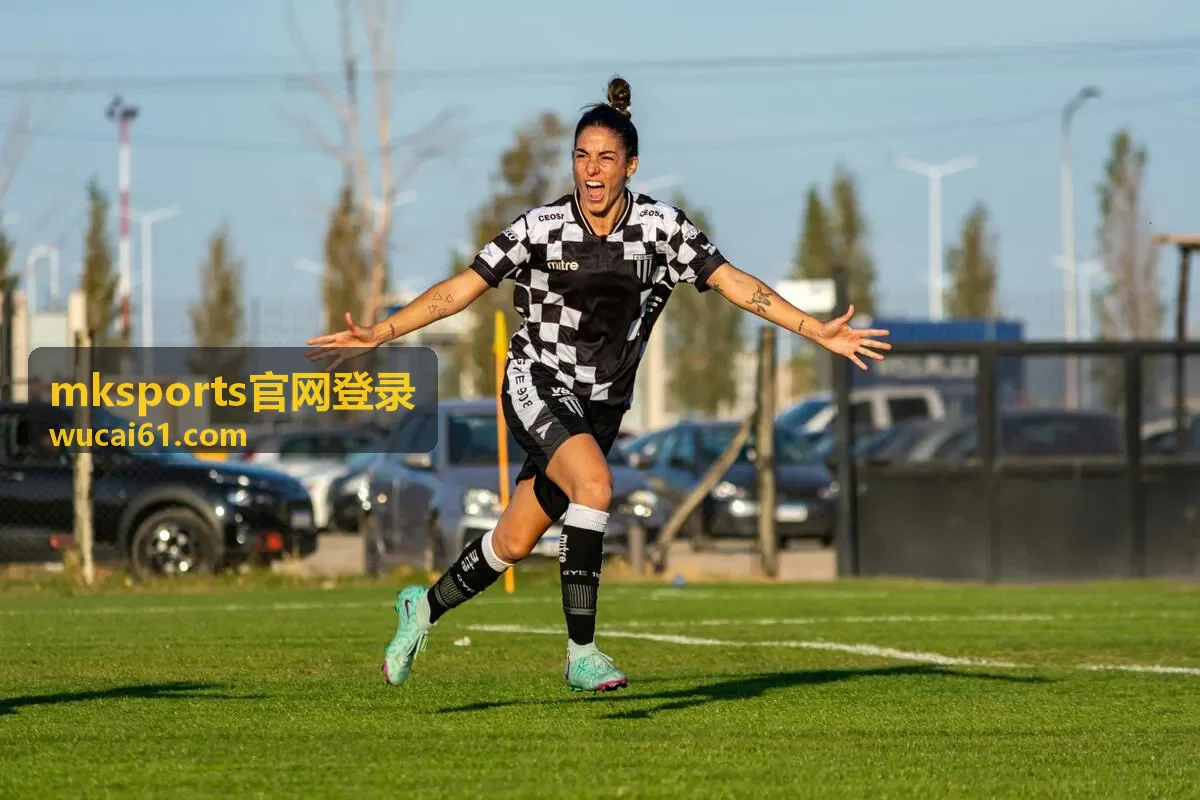mksports官网登录入口与表单字段说明配图