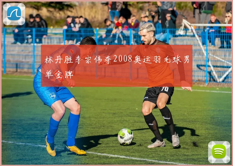 林丹胜李宗伟夺2008奥运羽毛球男单金牌