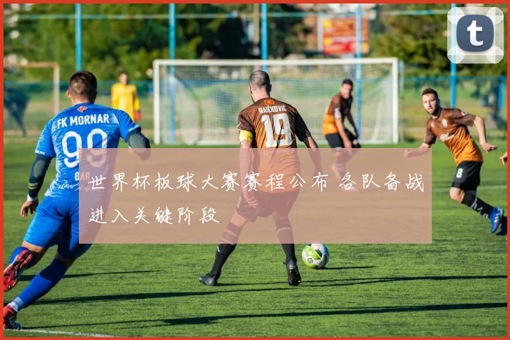世界杯板球大赛赛程公布 各队备战进入关键阶段